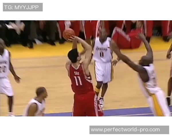 姚明在训练场上挥汗如雨的精彩瞬间与篮球技巧展示