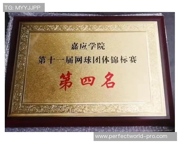 西安网球队团结一心探讨团队协作与竞技表现的关系